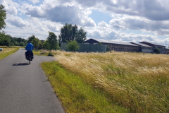 Erich auf dem Fahrrad auf einem ruhigen Radweg zwischen Feldern