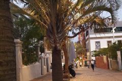 Abendessen-in-Hotelnaehe-in-Santa-Cruz-de-Teneriffe-29
