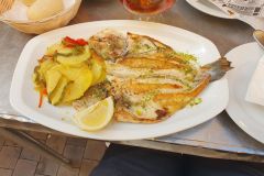 Abendessen-im-Restaurant-Taberna-La-Antigua-in-Malaga-und-sonniger-und-lustiger-Heimweg-10