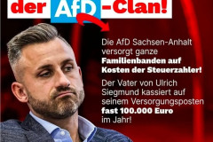 afd-facebook-diskussion-beleidigungen-statt-argumente-07