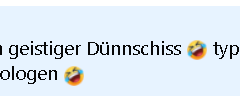 Facebook-Diskussionen unter AfD-Beiträgen: Persönliche Beleidigungen statt konkreter Antworten