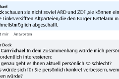 Facebook-Diskussionen unter AfD-Beiträgen: Persönliche Beleidigungen statt konkreter Antworten