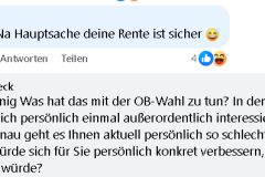 Facebook-Diskussionen unter AfD-Beiträgen: Persönliche Beleidigungen statt konkreter Antworten