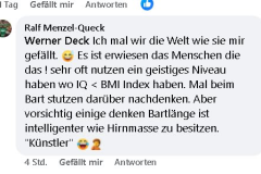 Facebook-Diskussionen unter AfD-Beiträgen: Persönliche Beleidigungen statt konkreter Antworten