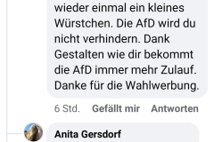 Facebook-Diskussionen unter AfD-Beiträgen: Persönliche Beleidigungen statt konkreter Antworten