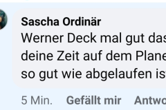 Facebook-Diskussionen unter AfD-Beiträgen: Persönliche Beleidigungen statt konkreter Antworten