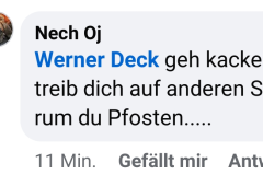 Facebook-Diskussionen unter AfD-Beiträgen: Persönliche Beleidigungen statt konkreter Antworten