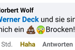 Facebook-Diskussionen unter AfD-Beiträgen: Persönliche Beleidigungen statt konkreter Antworten
