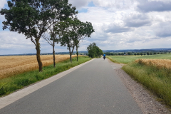 Baumgesäumte Allee auf dem Weg zur Klosteranlage Dargun