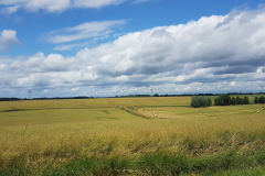 Weite flache Landschaft mit Feldern und Fernblick Richtung Osten