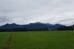 Schmaler Weg durch die Wiese bei der Radtour am Chiemsee im Chiemgau, September 2025, Tag 2
