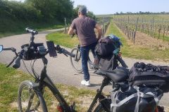 Freitag-2-Mai-2025-erster-Tag-unserer-Radtour-ueber-90-km-von-Eggenstein-nach-Gruenstadt-160