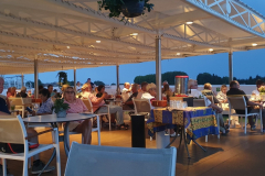 Flussreise Lyon Mittelmeer Etappe 6 - geschichtsträchtiges Arles. Der Abend bei Unterhaltung mit Gesang und Trompete auf dem Schiff