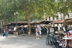 Flussreise Lyon Mittelmeer Etappe 6 – geschichtsträchtiges Arles. Place du Forum und Café Van Gogh. 