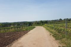 Freitag-2-Mai-2025-erster-Tag-unserer-Radtour-ueber-90-km-von-Eggenstein-nach-Gruenstadt-166