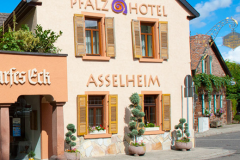 Freitag-2-Mai-2025-erster-Tag-unserer-Radtour-ueber-90-km-von-Eggenstein-nach-Gruenstadt-170-Pfalz-Hotel-Asselheim