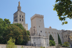 Basilika Notre-Dame des Doms in Avignon neben dem Papstpalast – Etappe 8 unserer Flussreise Lyon–Mittelmeer 2025