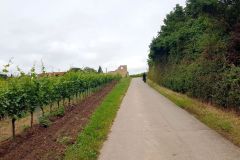 Roemisches-Weingut-und-Duerkheimer-Riesenfass-04