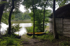 Blick vom Ufer auf den Kastorfer See bei Sonnenschein