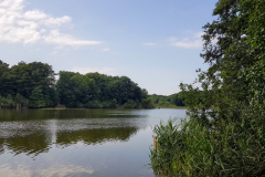 Kastorfer See mit Uferbewuchs und Spiegelung im Wasser