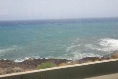 Die-Busfahrt-nach-Santa-Cruz-de-Teneriffe-10
