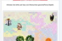Deutsche-Bahn-mit-Captcha-und-Entitaet-03