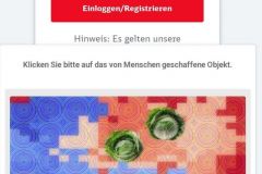 Deutsche-Bahn-mit-Captcha-und-Entitaet-04