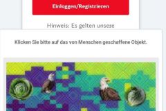 Deutsche-Bahn-mit-Captcha-und-Entitaet-05