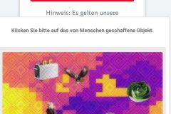 Deutsche-Bahn-mit-Captcha-und-Entitaet-06
