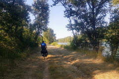 Abenteuerlicher Trampelpfad entlang der Rhône – unsere E-Bikes mussten wir durch dichtes Gestrüpp schieben.