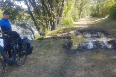 Abenteuerlicher Trampelpfad entlang der Rhône – unsere E-Bikes mussten wir durch dichtes Gestrüpp schieben.