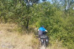 Abenteuerlicher Trampelpfad entlang der Rhône – unsere E-Bikes mussten wir durch dichtes Gestrüpp schieben.