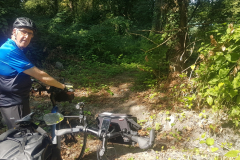 Abenteuerlicher Trampelpfad entlang der Rhône – unsere E-Bikes mussten wir durch dichtes Gestrüpp schieben.