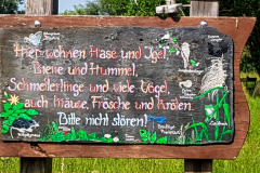 Goldige Infotafel zur Blumenwiese und den dort lebenden Insekten und Kleintieren