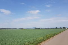 Samstag-3.-Mai-2025-zweiter-Tag-unserer-Radtour-ueber-67-km-von-Gruenstadt-nach-Ladenburg-136