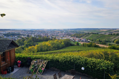Fahrt zur Burg Ravensburg auf unserer Kraichgau-Radtour