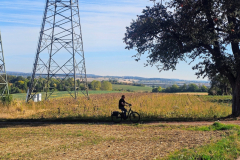Kraichgau-Radtour: Der Kraichgau zwischen Neibsheim und Büchig