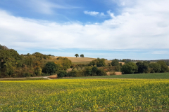 Kraichgau-Radtour: Durch die Kraichgaulandschaft nach Bretten