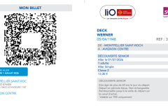 Screenshot der SNCF Connect App zur Fahrradmitnahme Bahn Frankreich. Fahrkarte nach Avignon
