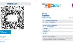 Screenshot der SNCF Connect App zur Fahrradmitnahme Bahn Frankreich. Fahrkarte nach Lyon