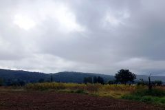 Radtour-mit-Peter-bis-zum-Federbachbruch-05