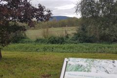 Radtour-mit-Peter-bis-zum-Federbachbruch-09