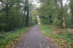 Radtour-mit-Peter-bis-zum-Federbachbruch-12