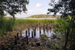 Blick vom Ufer auf den stillen Feisnecksee bei Waren – Seenplatte Radtour vierte Etappe