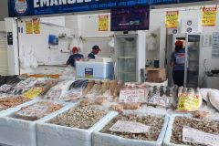 Besuch-vom-Fischmarkt-von-Santos-05