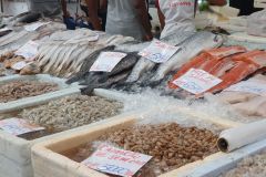 Besuch-vom-Fischmarkt-von-Santos-10