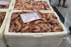Besuch-vom-Fischmarkt-von-Santos-14
