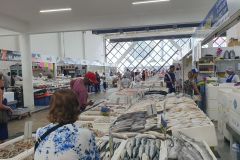 Besuch-vom-Fischmarkt-von-Santos-15