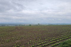 Unterwegs zwischen Kocher und jagst, grauer Himmel