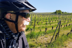 Radtour mit Peter auf der Vier-Täler-Tour im Heilbronner Land. Start bei gutem sonnigen Wetter  durch die Weinberge